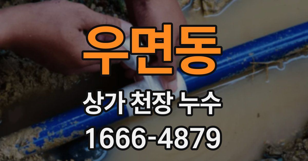 우면동 상가 천장 누수