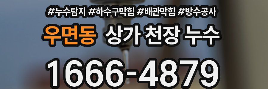 우면동 상가 천장 누수