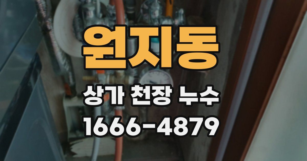 원지동 상가 천장 누수