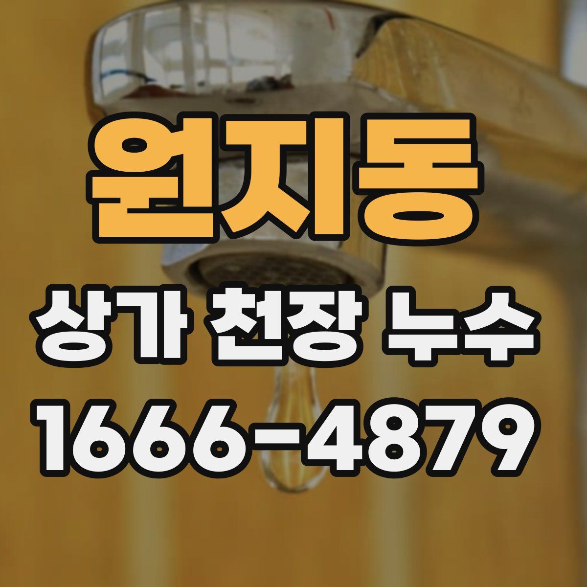 원지동 상가 천장 누수