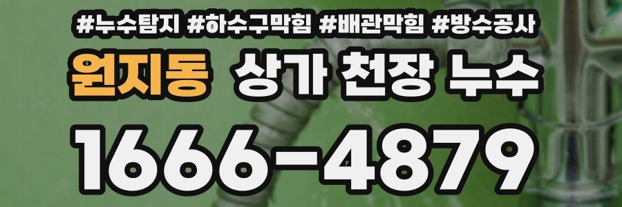원지동 상가 천장 누수