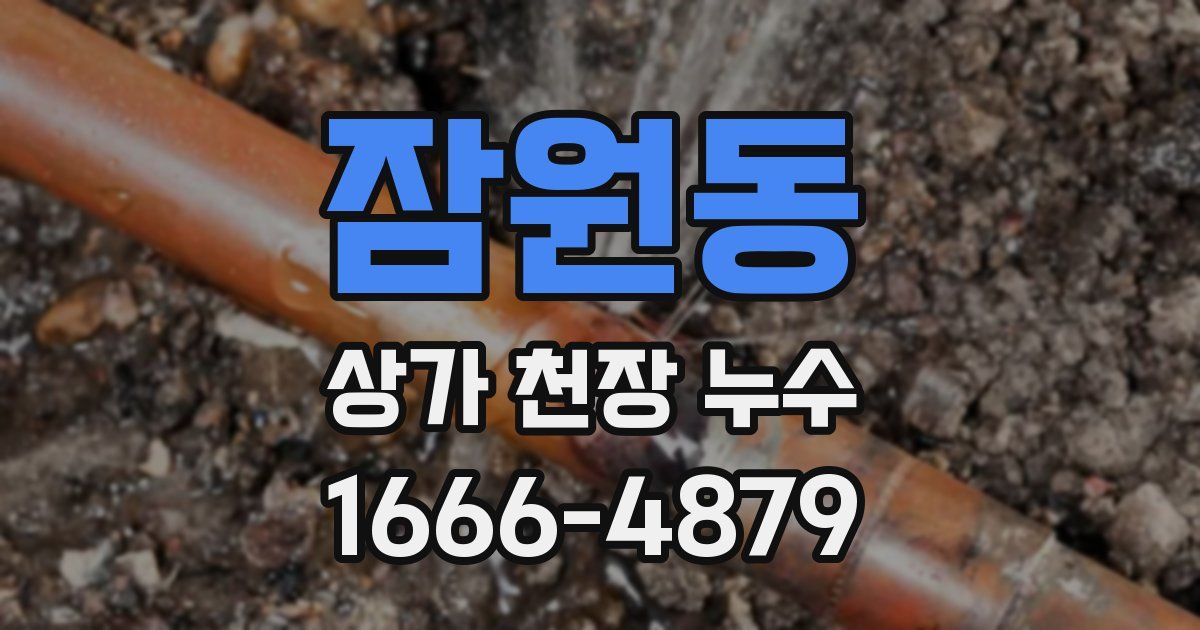 잠원동 상가 천장 누수