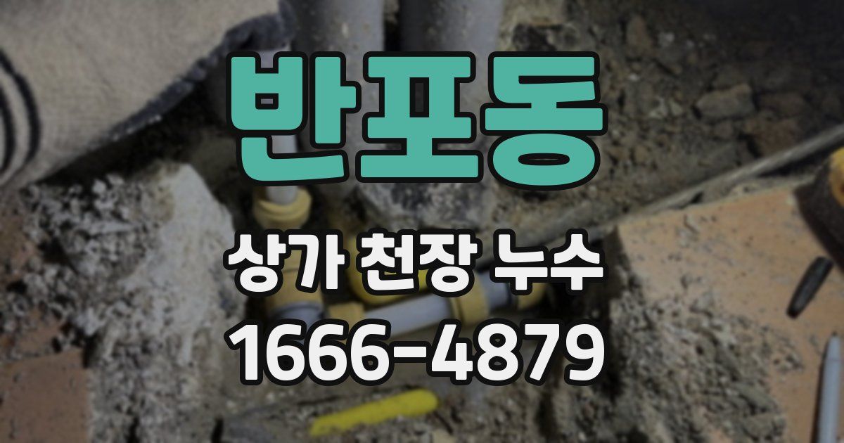 반포동 상가 천장 누수