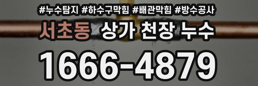 서초동 상가 천장 누수