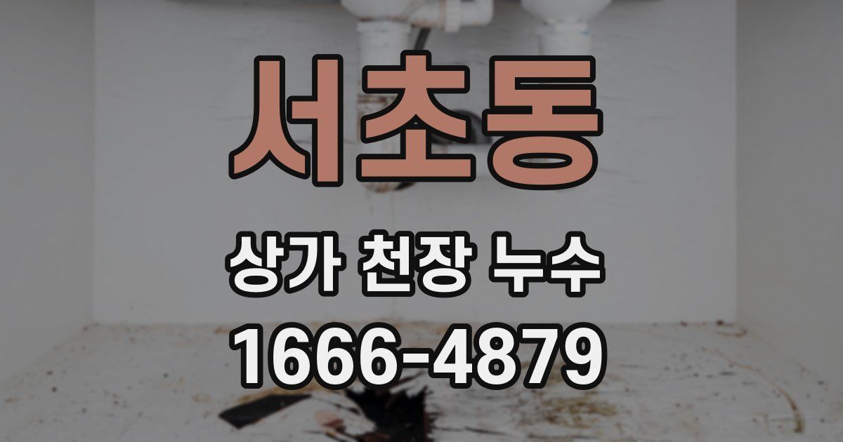 서초동 상가 천장 누수