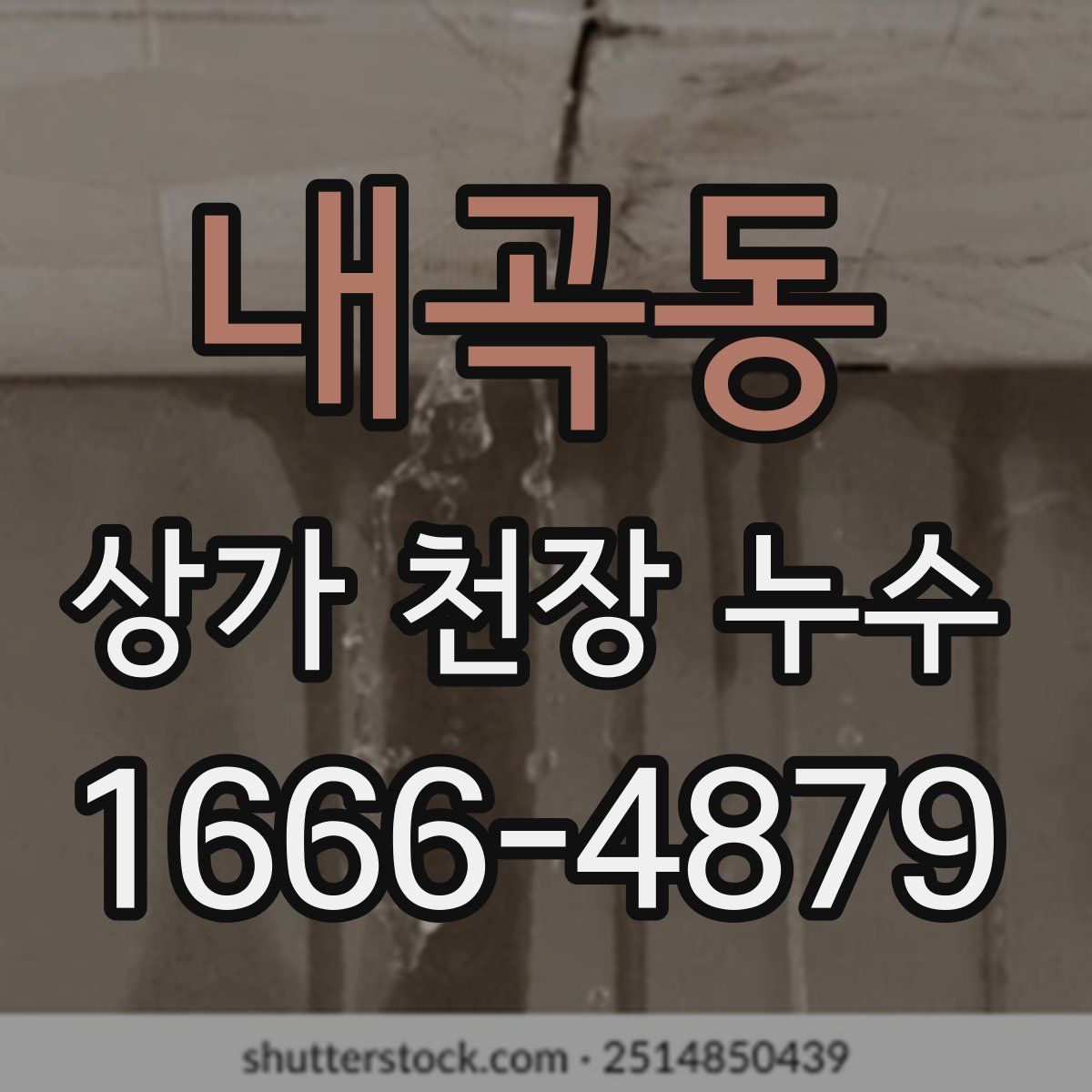 내곡동 상가 천장 누수