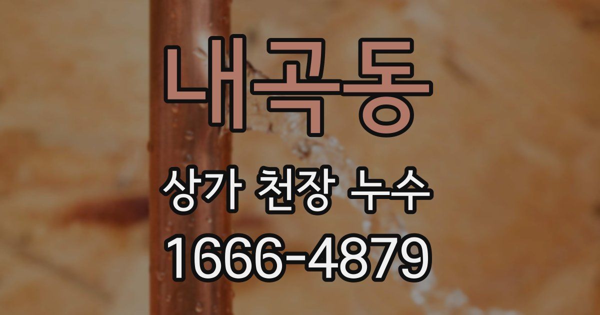 내곡동 상가 천장 누수