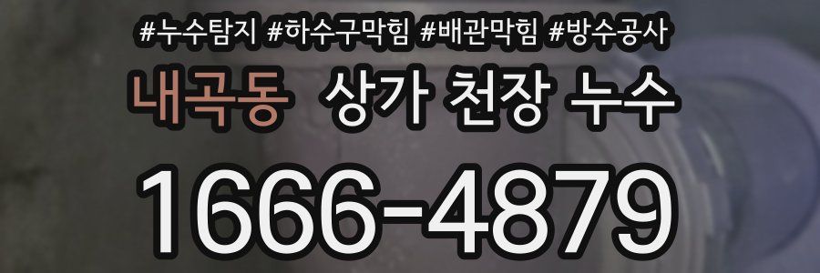 내곡동 상가 천장 누수