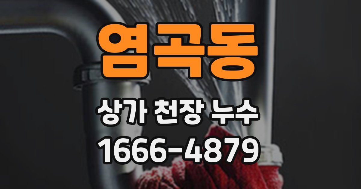염곡동 상가 천장 누수