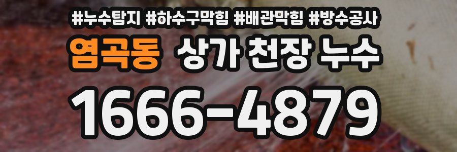 염곡동 상가 천장 누수