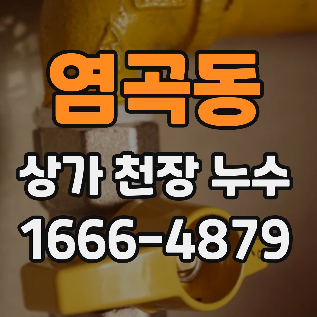 염곡동 상가 천장 누수