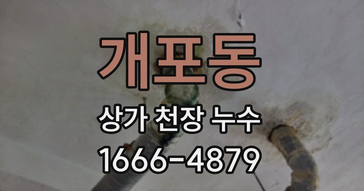 개포동 상가 천장 누수