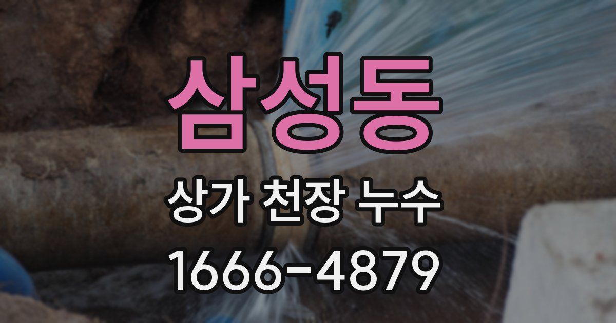 삼성동 상가 천장 누수