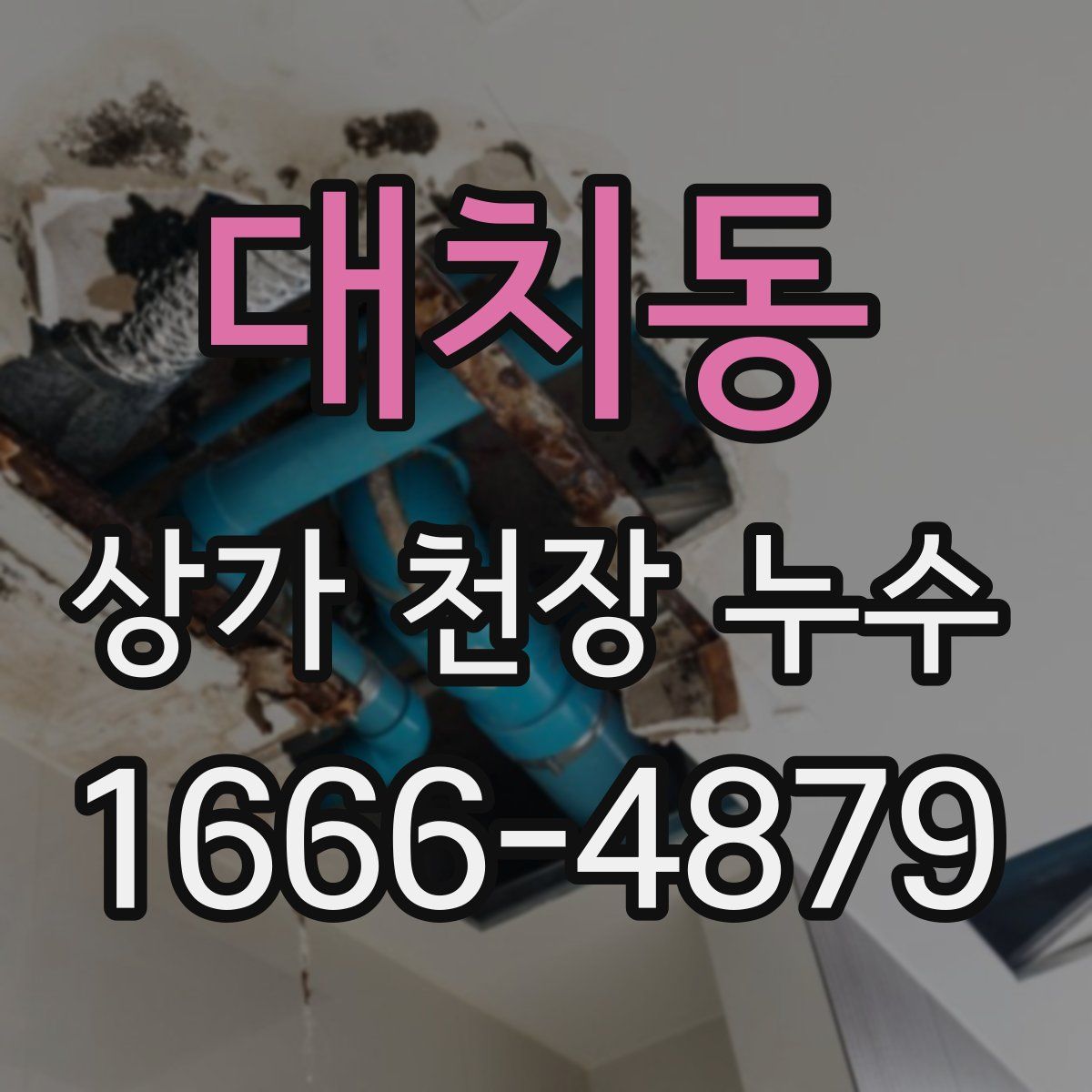 대치동 상가 천장 누수