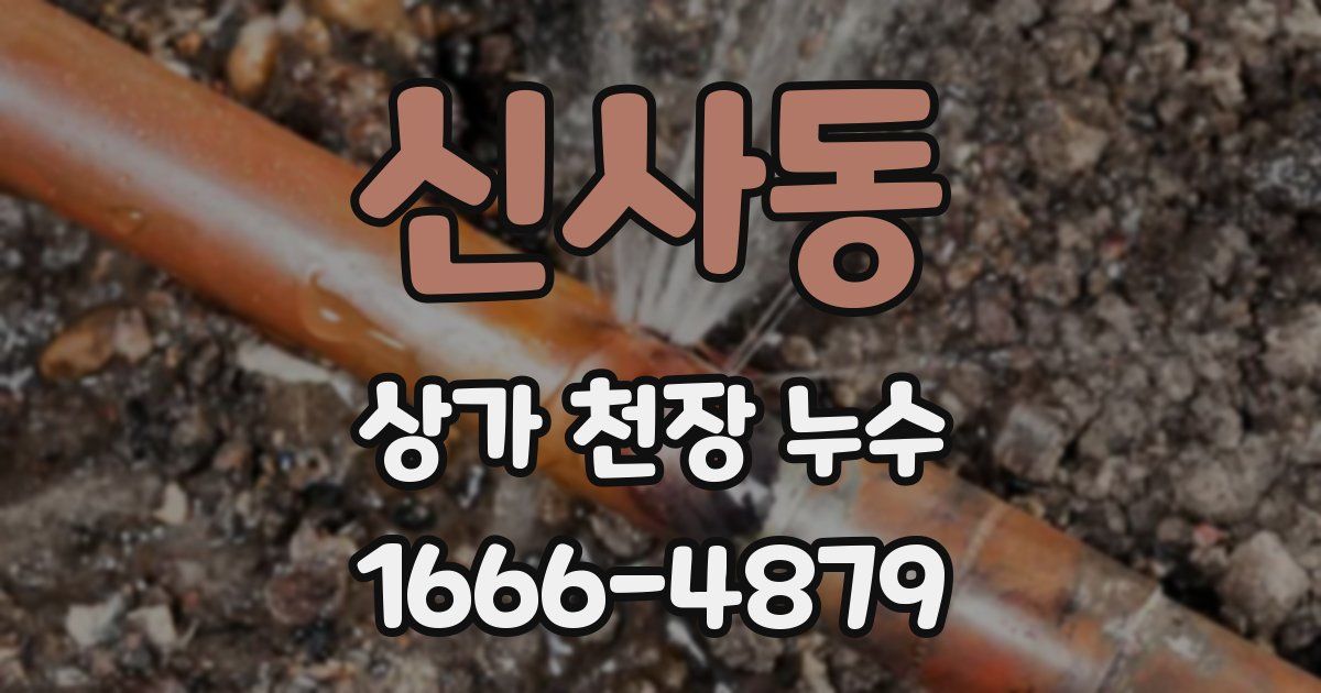 신사동 상가 천장 누수