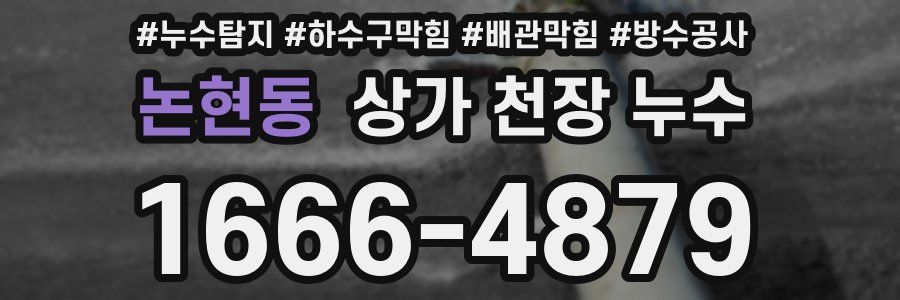 논현동 상가 천장 누수