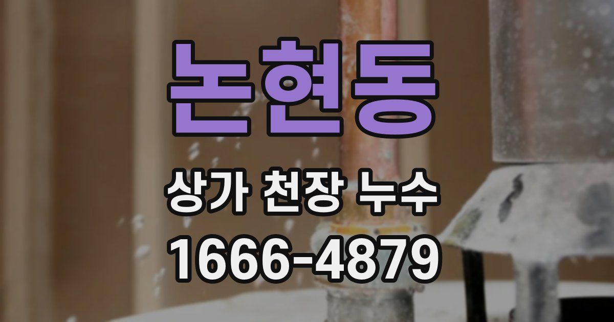 논현동 상가 천장 누수