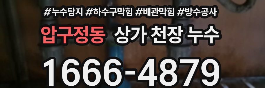 압구정동 상가 천장 누수