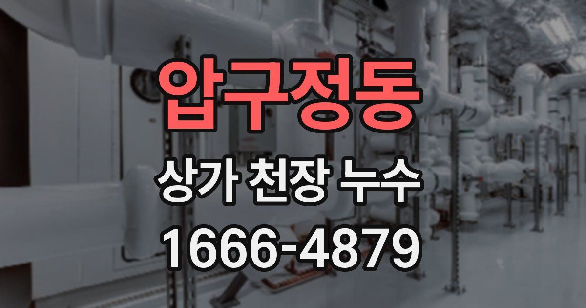 압구정동 상가 천장 누수