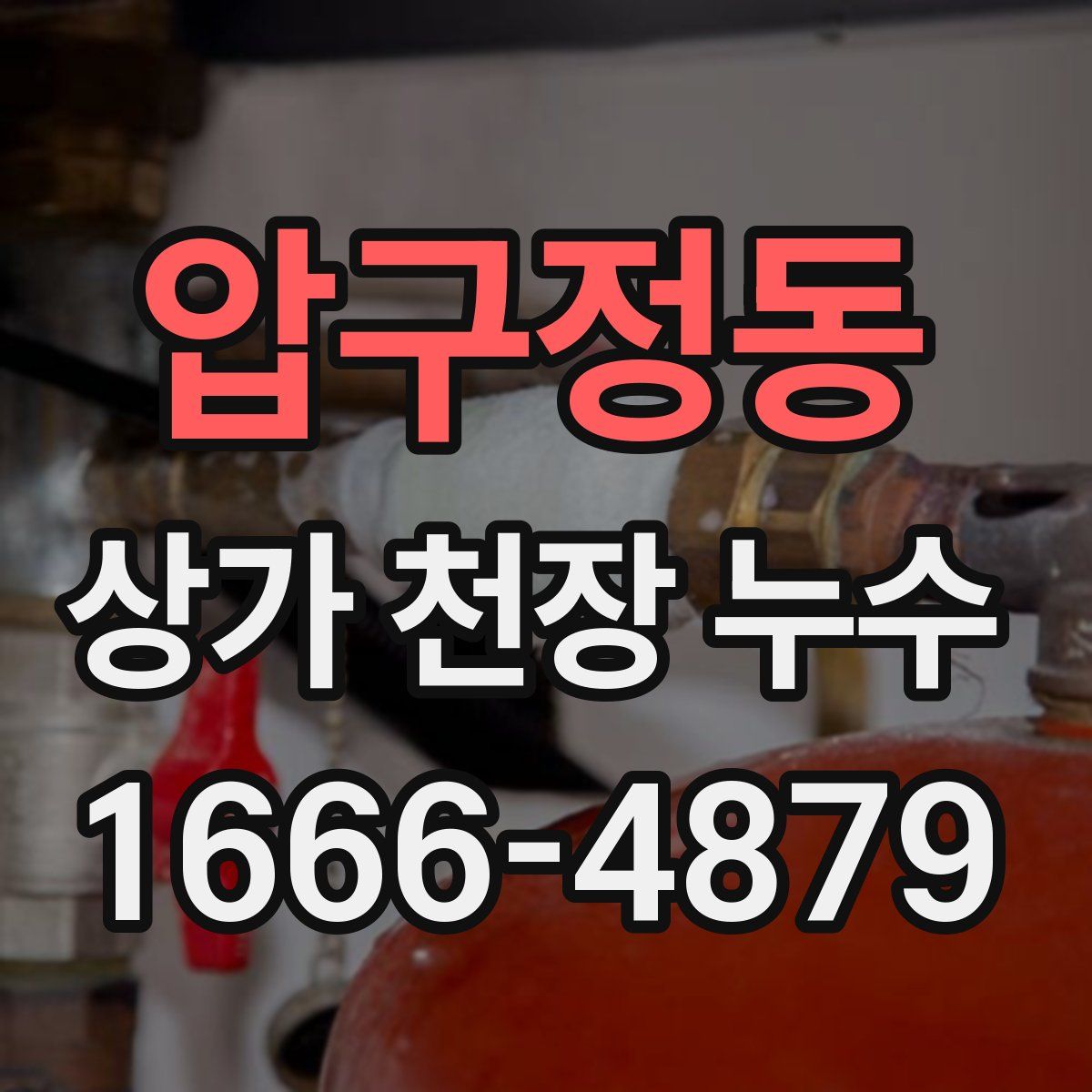 압구정동 상가 천장 누수