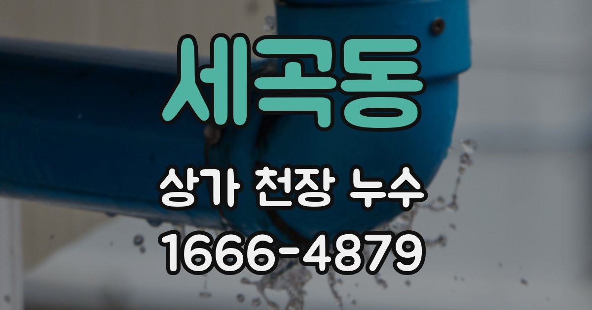 세곡동 상가 천장 누수