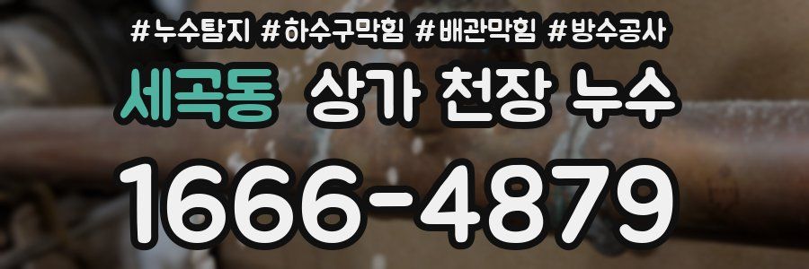 세곡동 상가 천장 누수