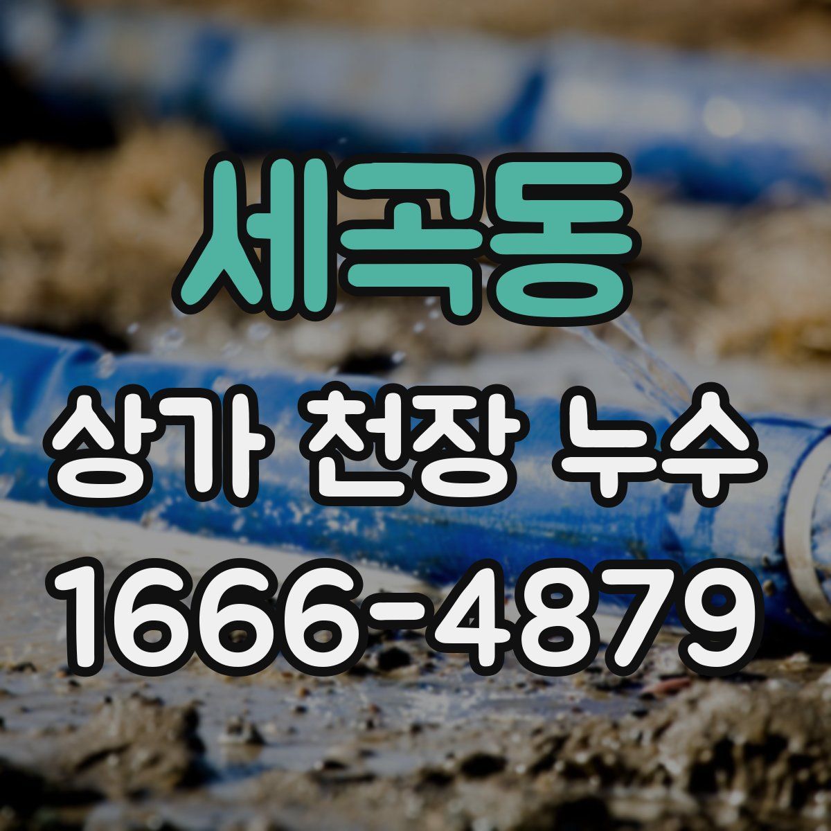 세곡동 상가 천장 누수