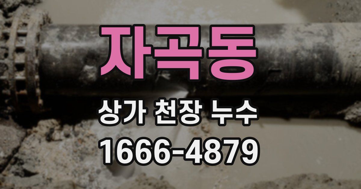 자곡동 상가 천장 누수