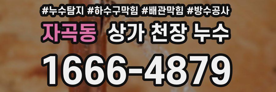 자곡동 상가 천장 누수