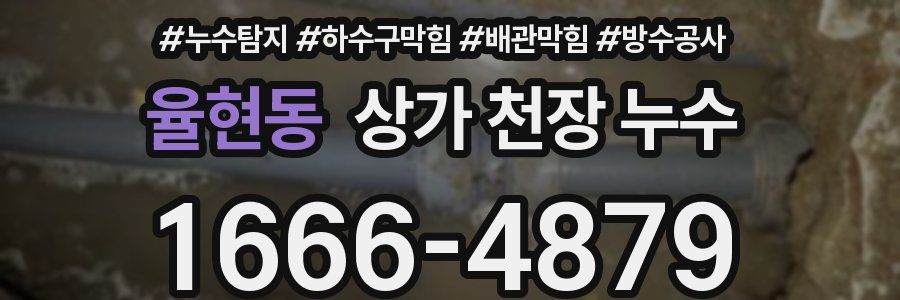 율현동 상가 천장 누수