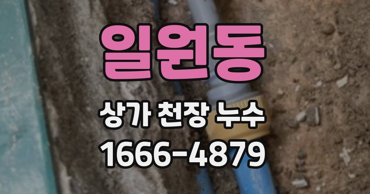 일원동 상가 천장 누수