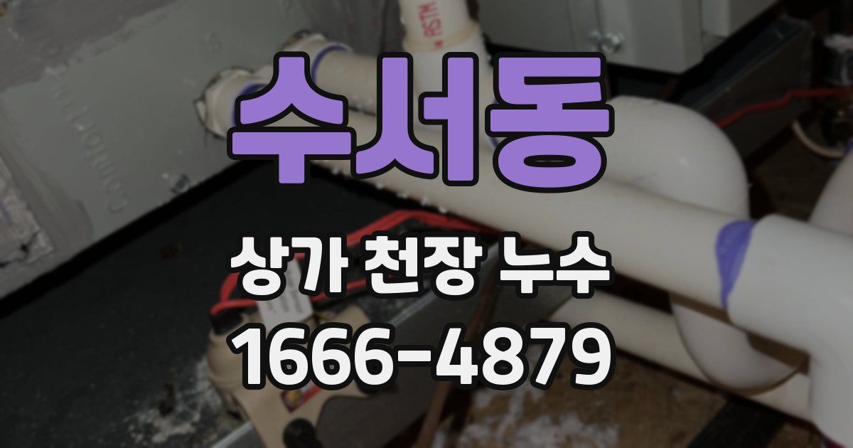 수서동 상가 천장 누수