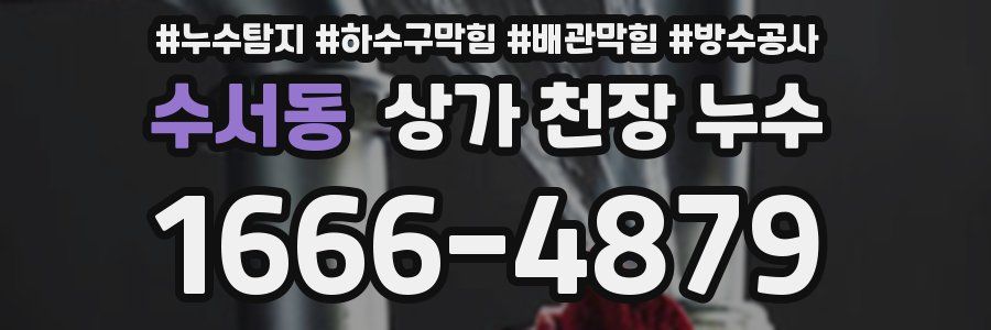 수서동 상가 천장 누수