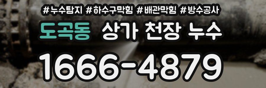 도곡동 상가 천장 누수