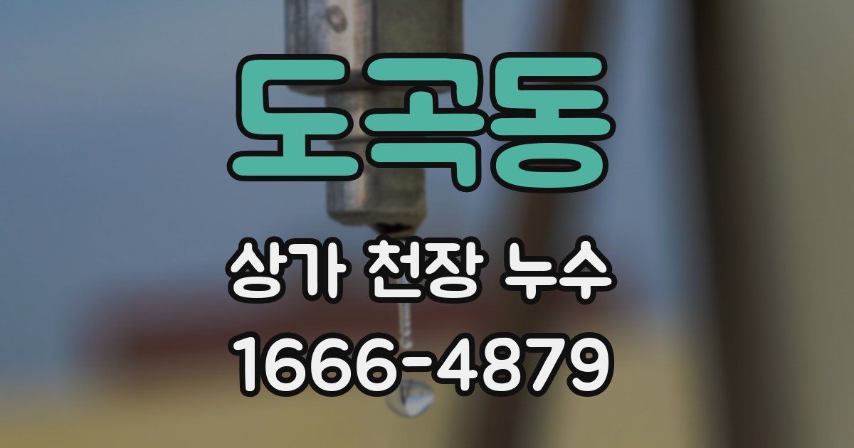 도곡동 상가 천장 누수
