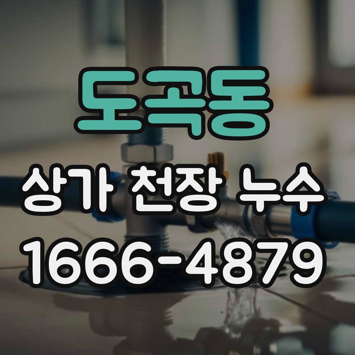 도곡동 상가 천장 누수