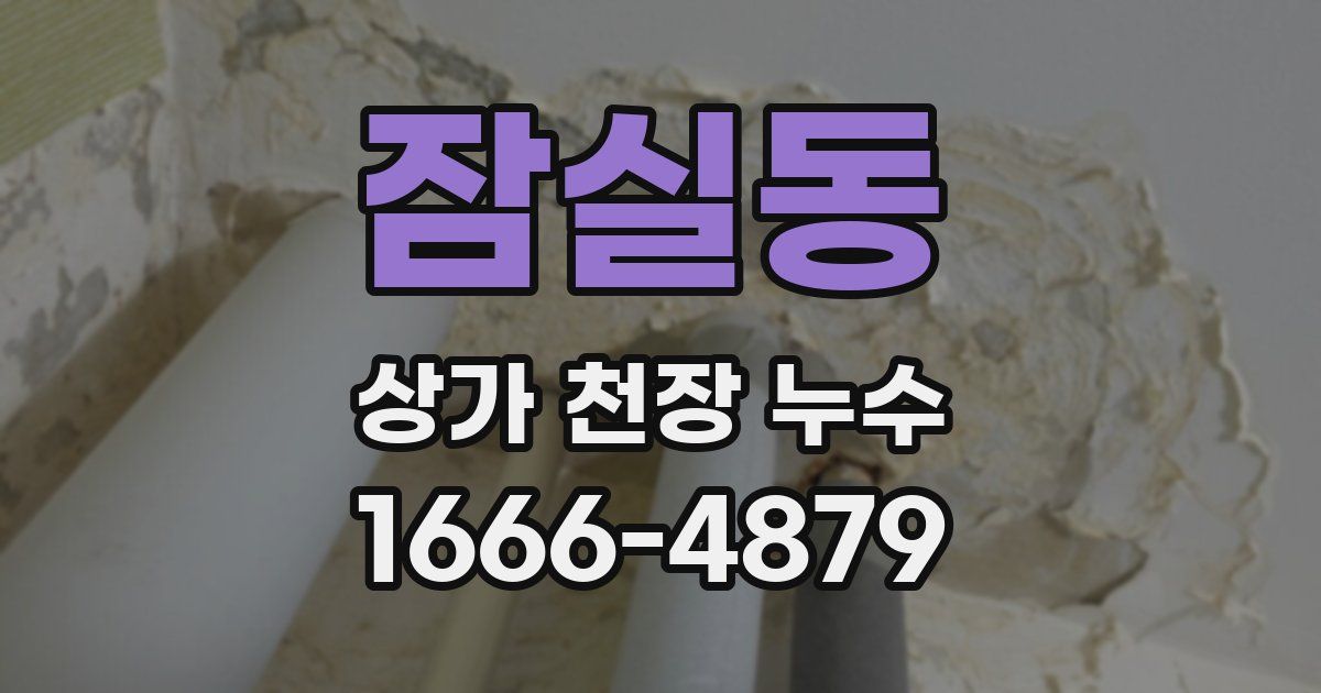 잠실동 상가 천장 누수