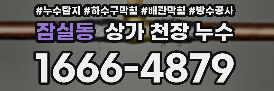 잠실동 상가 천장 누수