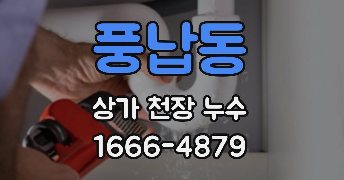 풍납동 상가 천장 누수
