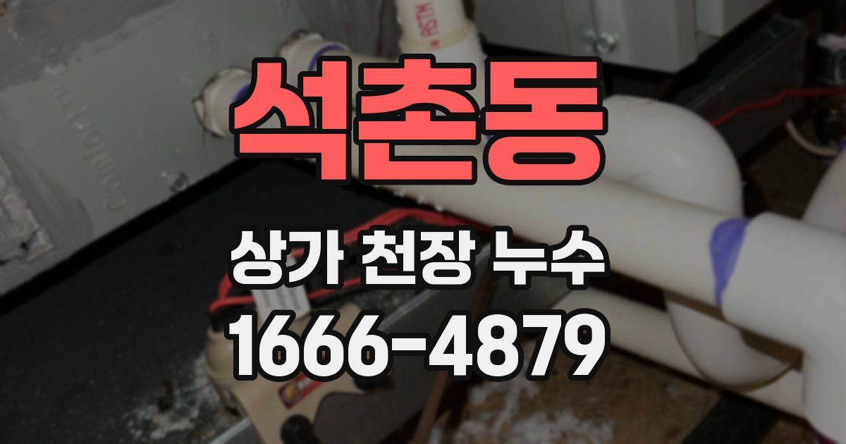 석촌동 상가 천장 누수