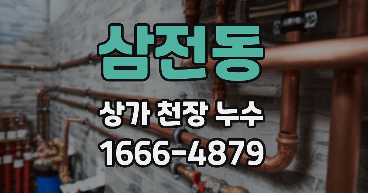 삼전동 상가 천장 누수