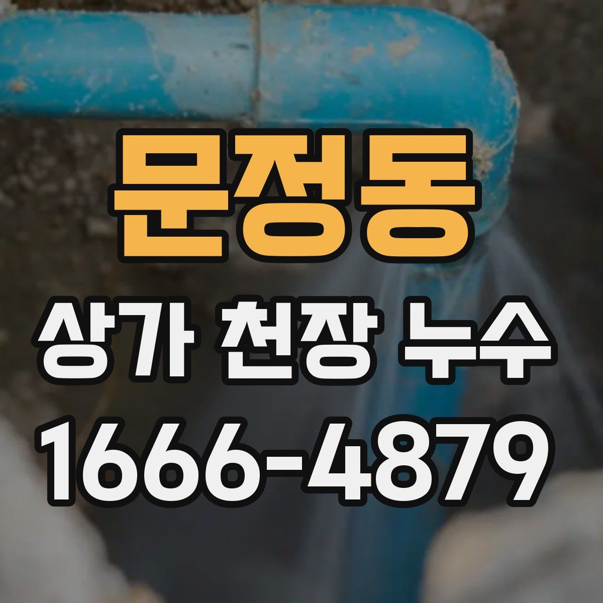 문정동 상가 천장 누수