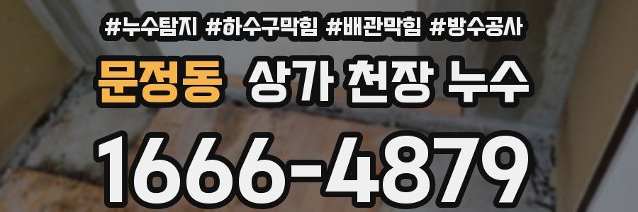 문정동 상가 천장 누수