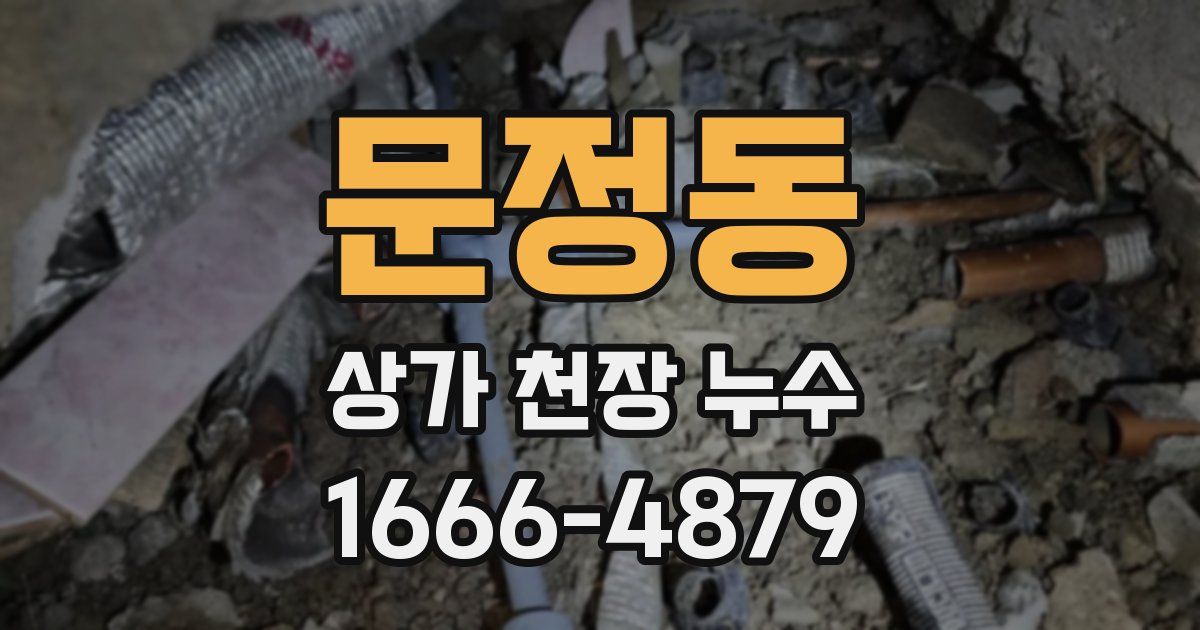 문정동 상가 천장 누수
