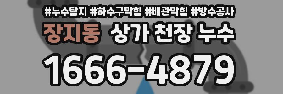 장지동 상가 천장 누수