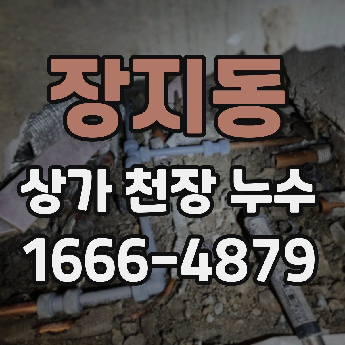 장지동 상가 천장 누수