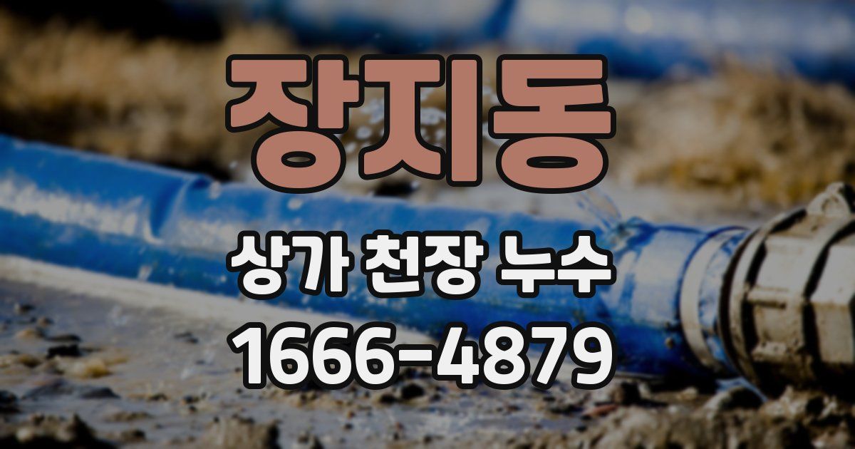 장지동 상가 천장 누수