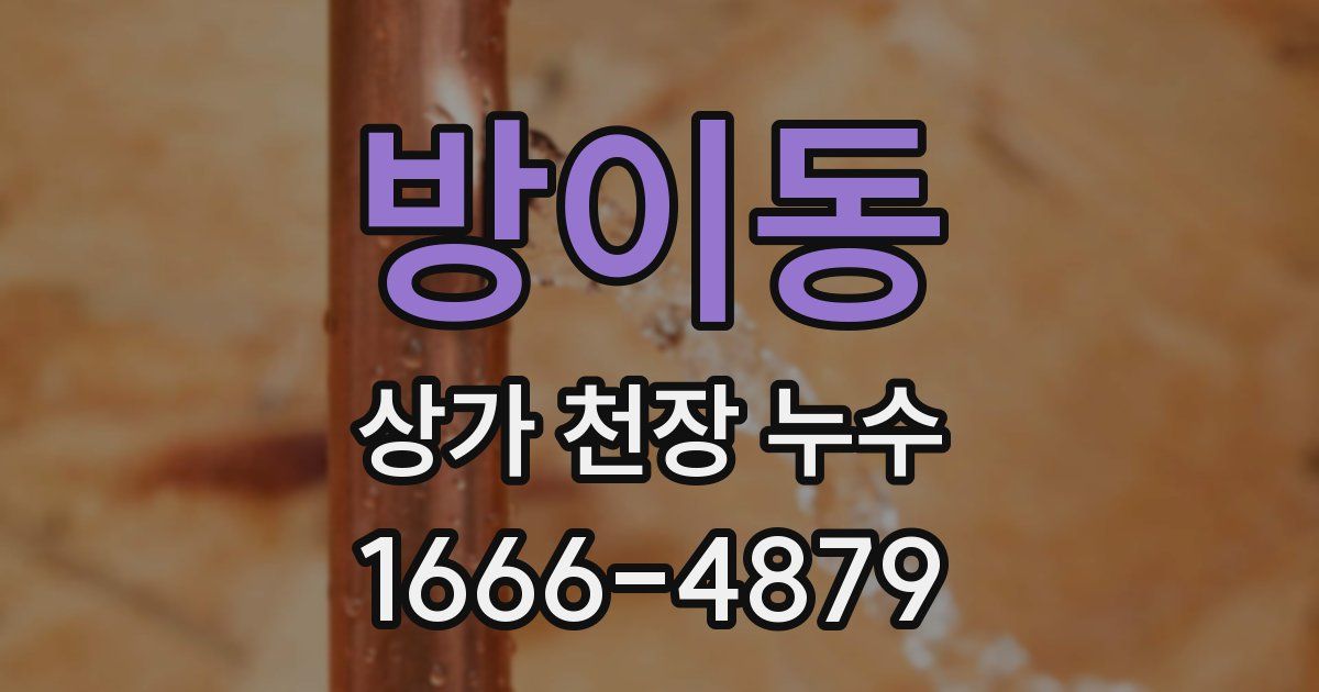 방이동 상가 천장 누수