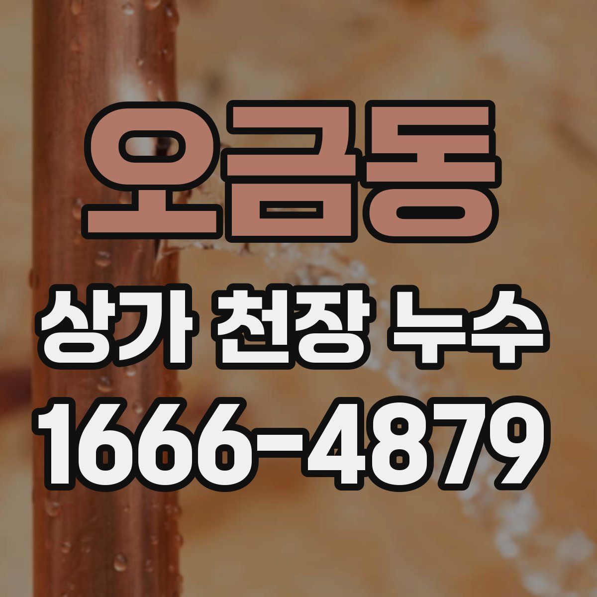 오금동 상가 천장 누수