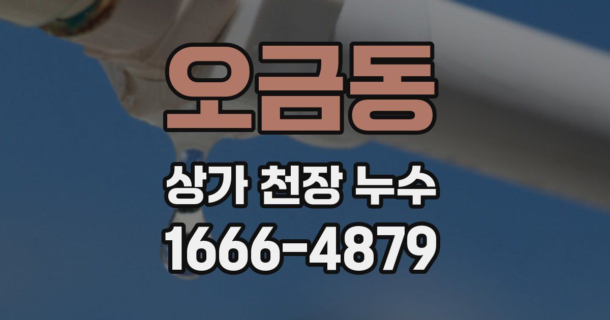 오금동 상가 천장 누수